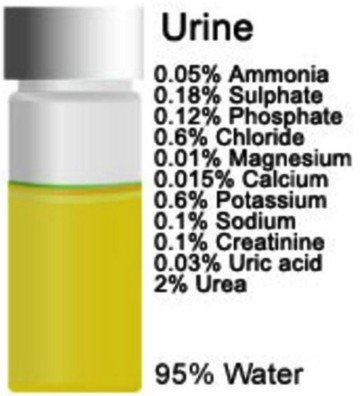 pregled-urina